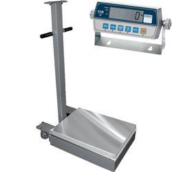 CAS TR2S-1000C-CI-2001B Transit 2 Mild Steel 18 x 24 Platform with CI-2001B 1000 x 0.2 lb