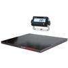 Rice Lake 219283 Roughdeck Floor Scale 4 x 4 Legal for Trade with 381 NiMH  Indicator - 5000 x 1 lb