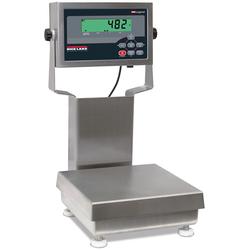 Rice Lake CW-90B-482 201463 Legal for Trade 10 x 10 inch Bench Scale with 12 in Column 5 x 0.001 lb