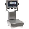 Rice Lake CW-90B-380 208529 Legal for Trade 10 x 10 inch Bench Scale with 12 in Column 10 x 0.002 lb