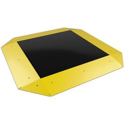Rice Lake 194338 Roughdeck PC 10 x 10 ft Pancake Deck Cargo Scale 20000 lb