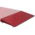 Rice Lake 169655 Ramp,Roughdeck AX-1 Axle 10ft Wide x 4ft Approach Attaches To Axle Scale Frame Mild Steel Painted