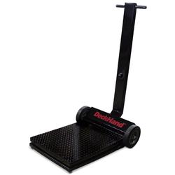 Rice Lake 41293 Deckhand DH500 Legal for Trade Painted Steel 500 lb - Base Only