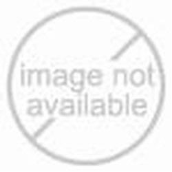 Sartorius WT200GCLS2 ASTM Class 2 Calibration Weight, 200 g