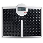 Seca 813 Robusta High Capacity Digital Floor Scale, 440 x 0.2 lb