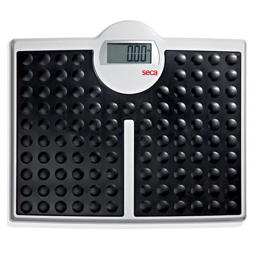 Seca 813 Robusta High Capacity Digital Floor Scale, 440 x 0.2 lb