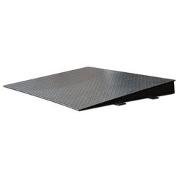 DigiWeigh ramp for DW-5500R or DW-10000R  Floor Scales