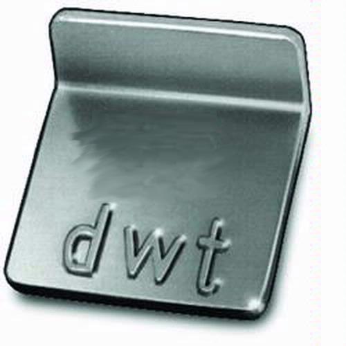 Rice Lake 12692 Class F NIST Penny Individual Wts, 0.2dwt